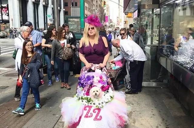 戛纳网红,戛纳的网红们