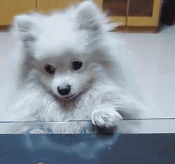 温馨的父子互动,父子俩的日常互动