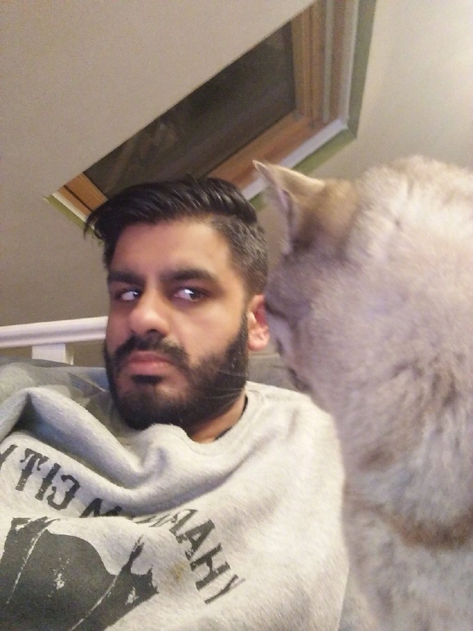 带来幸运的招财小黑猫,一只可以带来好运的猫