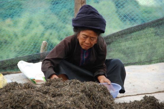 九指茶丐杨志华：做茶背后是战战兢兢做人