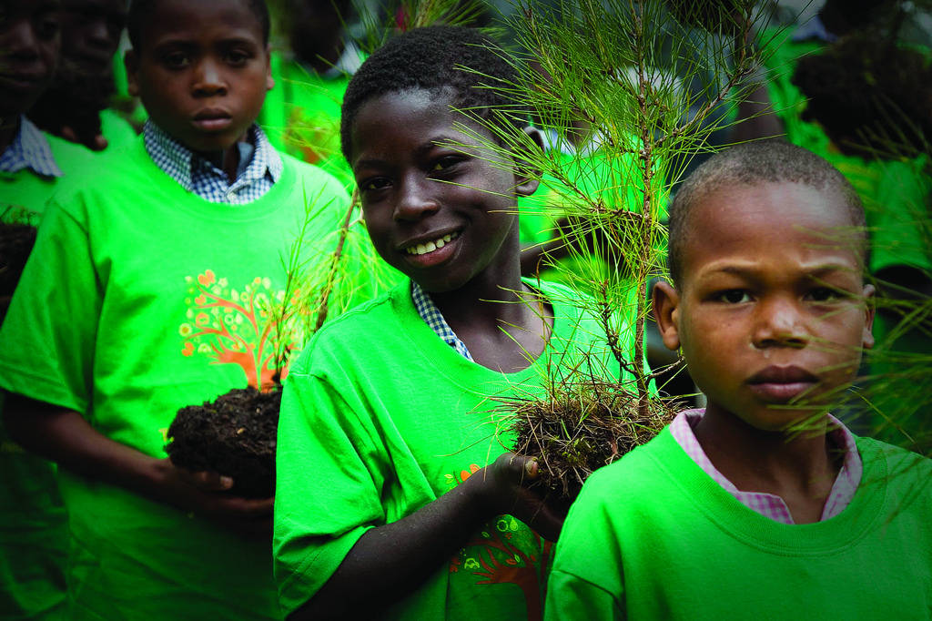 松木为什么是环保家具,松木全实木家具环保么
