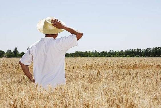 如果地球上的水全部消失会怎么样,地球上的水都消失了怎么办