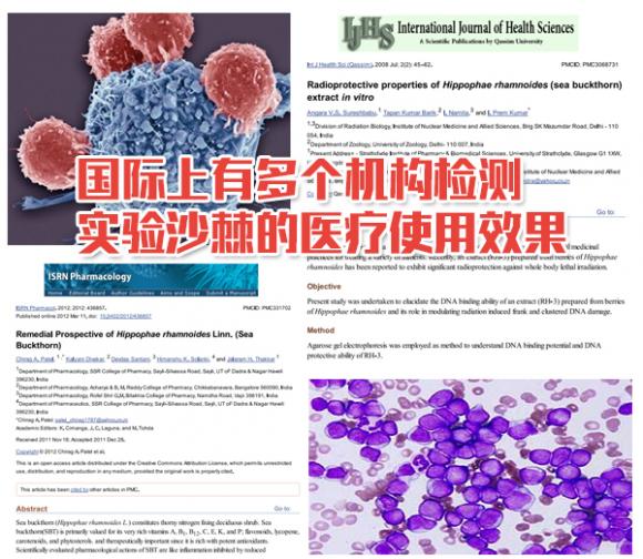 维生素之王到底是什么水果,维生素之王到底是什么