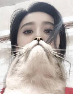 范冰冰非常完美假发,范冰冰对艺人的影响力