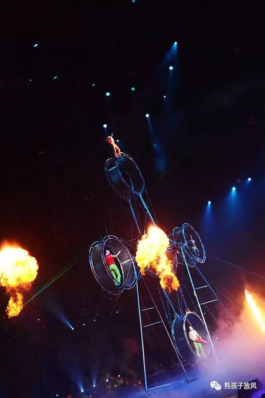 旅游攻略广州长隆野生动物园,游玩广州长隆野生动物园攻略