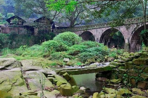 插秧端午节,包粽子赛龙舟端午节