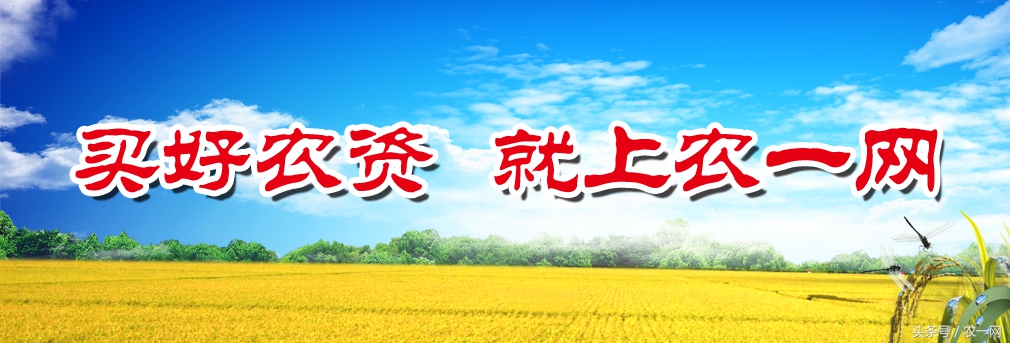 植保专家魏明：一堂讲课引发的一次远行