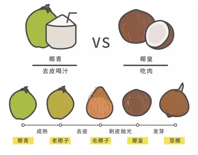 喝过椰汁的你有没有吃过椰宝,喝过椰奶能吃榴莲么