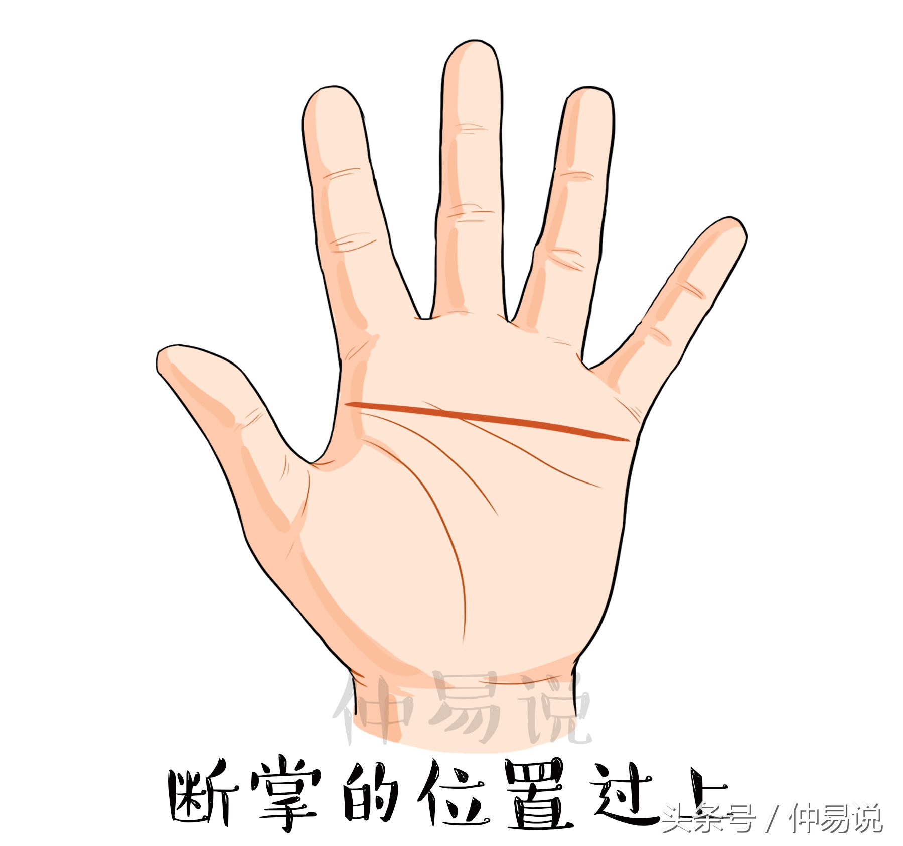 断掌的人十大特征,断掌是从头到尾还是从中间开始