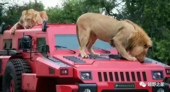 最霸气最强的越野车,全球最霸气的越野车