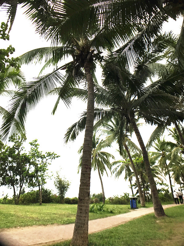三亚自由行含机票豪华游艇体验,三亚自由行旅游必备