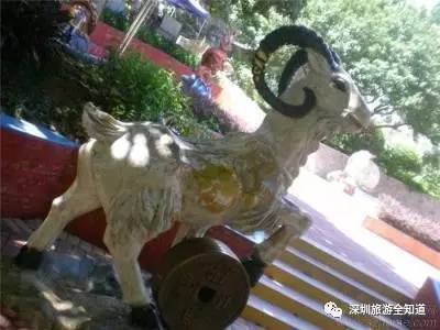 十年前的深圳求水山公园,深圳求水山公园观光图