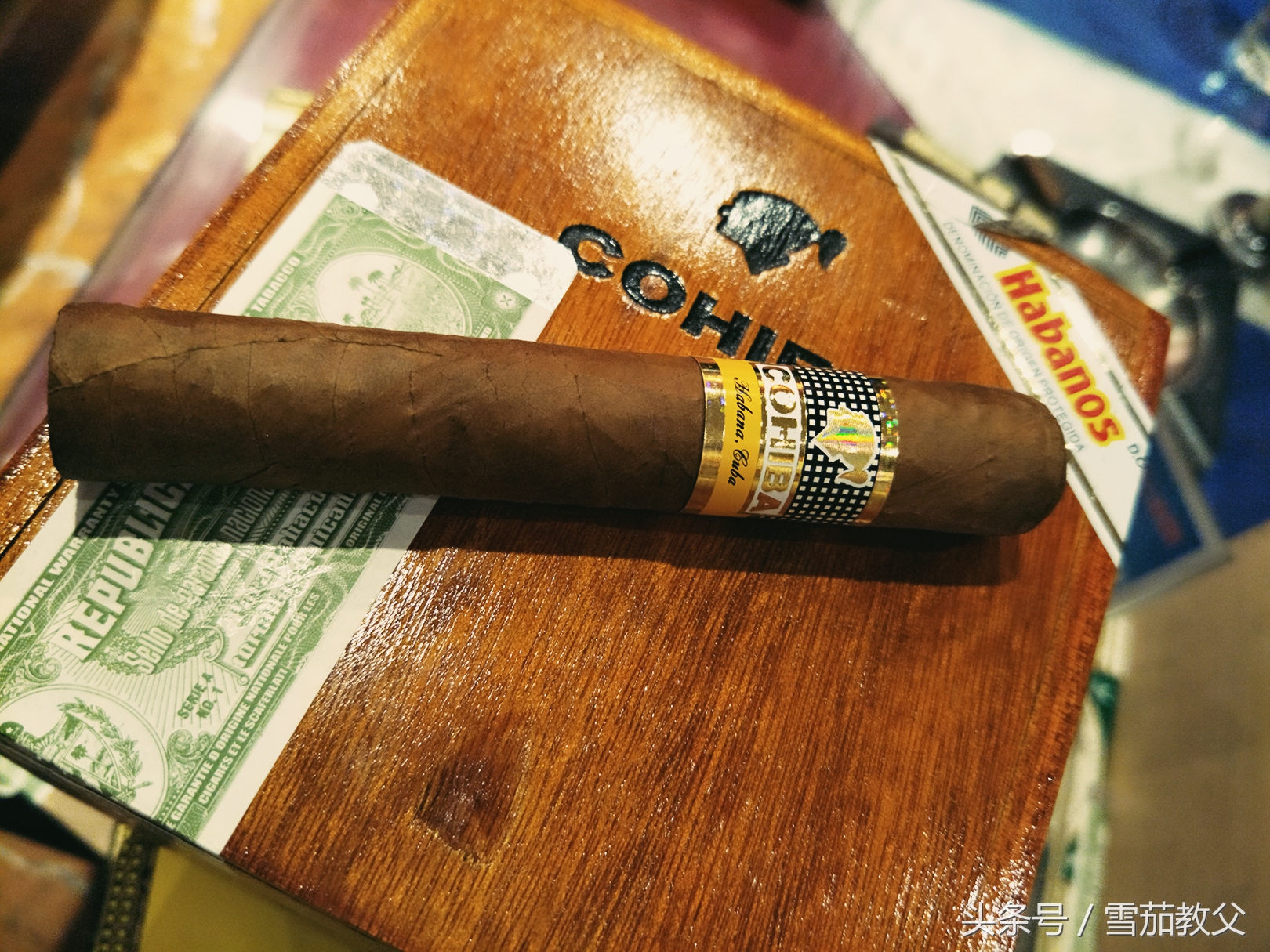 新手雪茄客避坑指南,雪茄入门级口粮选择