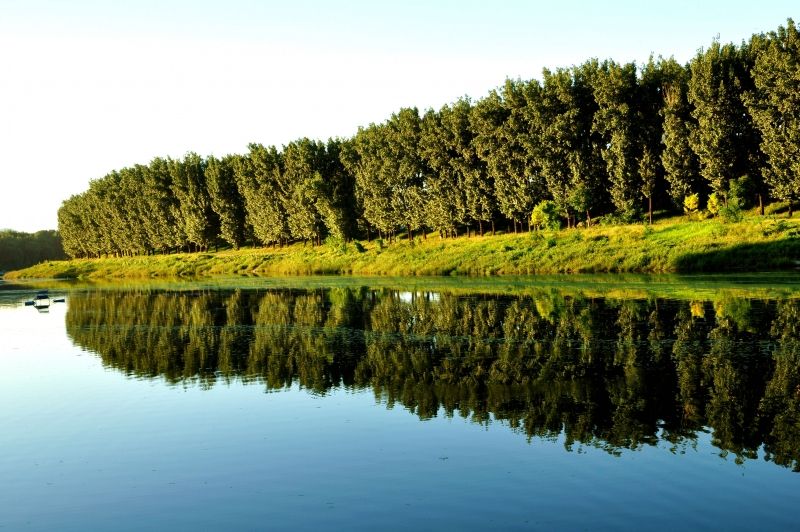 北岛说丨日渐消失的河畔生活，城北给你！