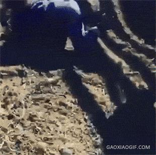 别以为站那么远就射不着你,真是浪费一桶酒