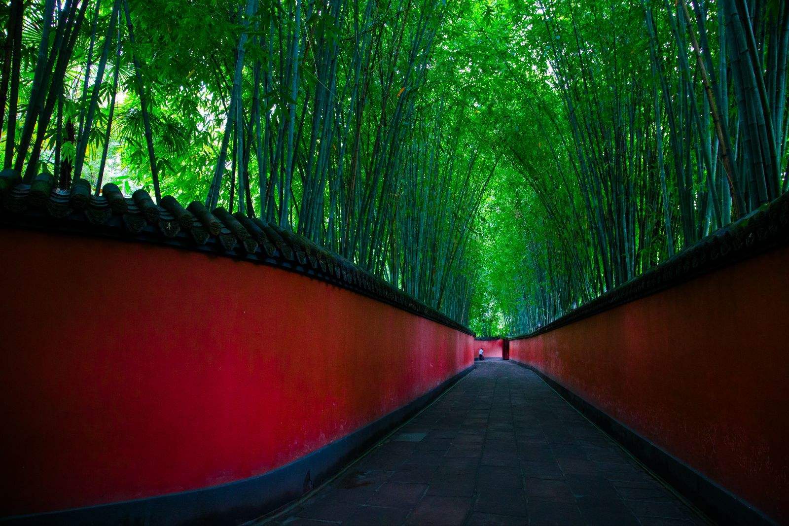 逃离北上深后干什么,逃离北上深后都做什么