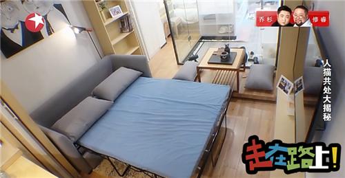 人猫共存空间设计,两只公猫两只母猫的房间怎么设计