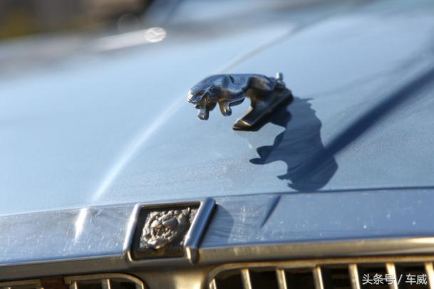 各代捷豹xj,捷豹xj有多惊艳