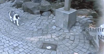 总有一瞬间感觉眼前的事发生过,总感觉要发生什么大事