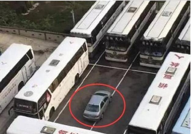 千万不要这样惩治乱停车,乱停车那些解气的结局