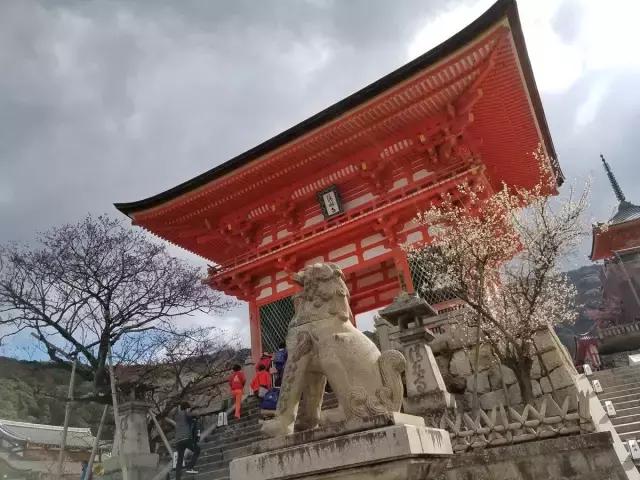 关西京都一日游攻略,日本关西旅行记录京都篇