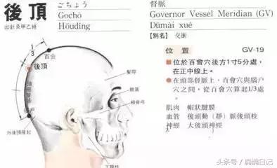 头部穴位中医必背100个知识,穴位脱发