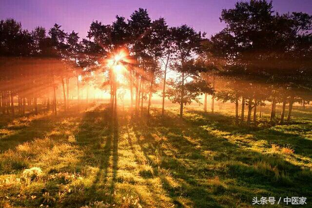 吉林省名中医胡永盛,吉林名老中医胡永盛在哪儿出诊