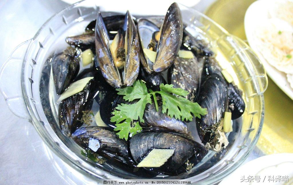 胆小的别进!青岛的海虫子,可以入药可以吃,鲍鱼也在内!