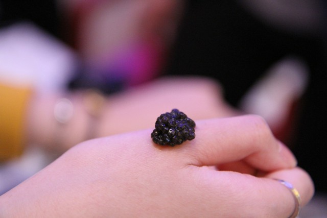 嫲嫲叹世界之浦尽澳门蚝门夜宴、健康轻食扶墙半自助餐