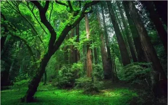 全球十大超级震撼观星胜地,全球最值得去的10个地方