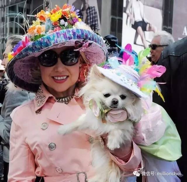 戛纳网红,戛纳的网红们