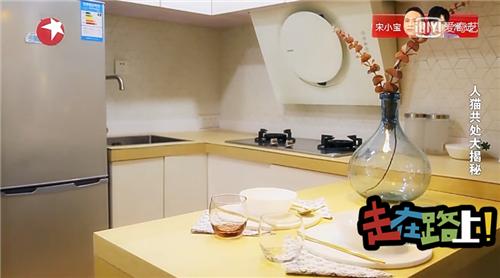 人猫共存空间设计,两只公猫两只母猫的房间怎么设计