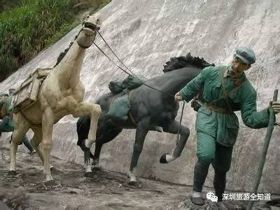 十年前的深圳求水山公园,深圳求水山公园观光图