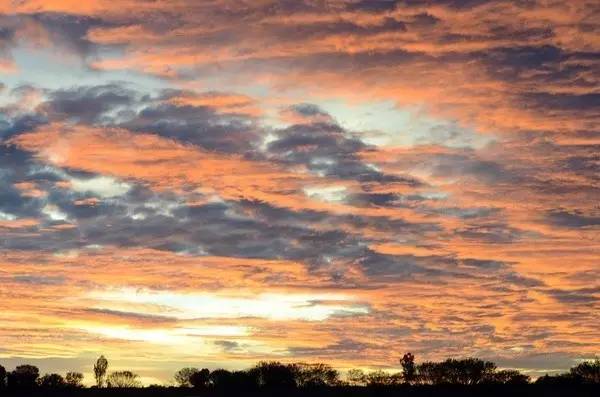 淘宝禁售app,淘宝禁售类目怎么规避