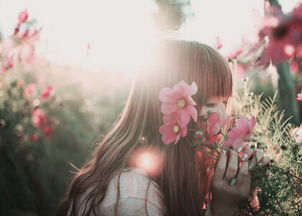 文学经典语录英语原句,一些经典英语句子摘抄