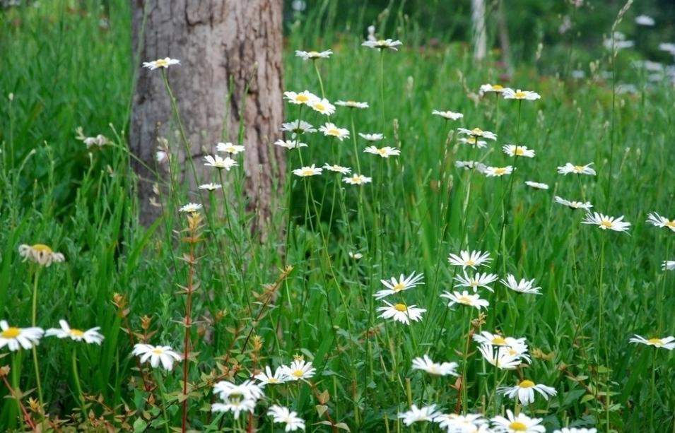 记录一下和癌症抗争的日子,与晚期肺癌抗争4年