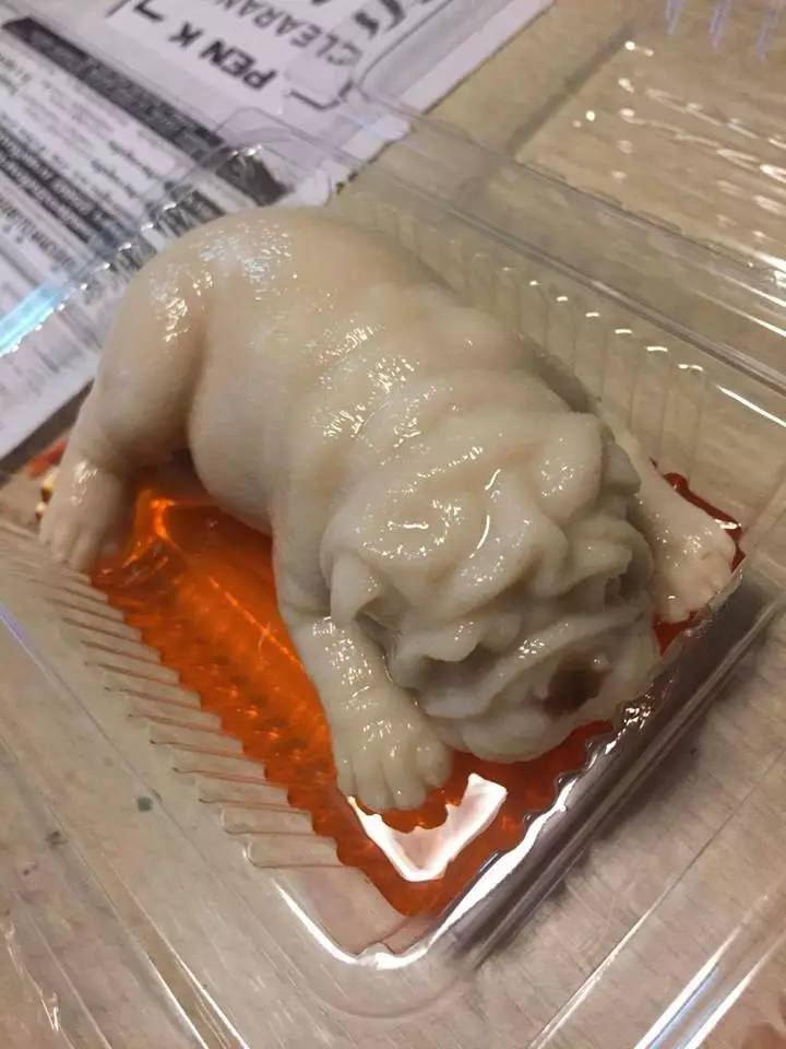 果冻沙皮狗,沙皮狗果冻