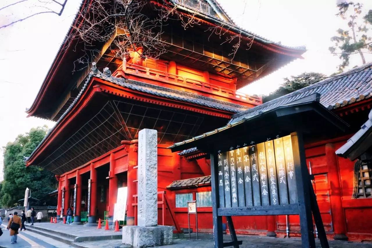 东京Tokyo丨如果你不爱她,请别招惹她