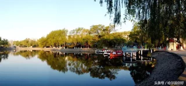 阿城有希望吗,阿城未来的发展