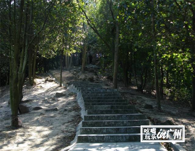 广州最新最美最好玩的景点,广州最值得去玩的景点推荐一下