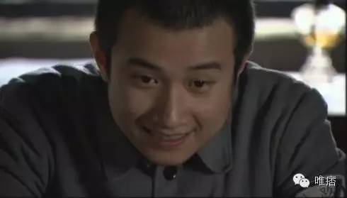 一个人坑好几个人的电视剧,少帅这部电视剧受文章影响了吗