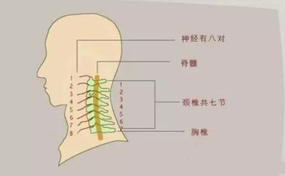 多年的胸闷气短啥原因,多年胸痛的原因和症状