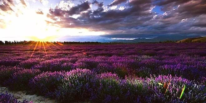 谁说我们大连人糙了，这些老地名儿都文艺的不要不要的！