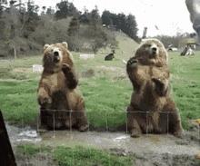 琥珀指彩才是流行啊,皮草FU滚驴子去