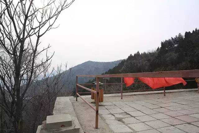 为什么我拍出来的照片不清楚,为什么拍出来的照片细节不清新