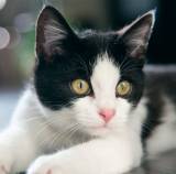 端午去哪里玩苏州,苏州端午山塘街