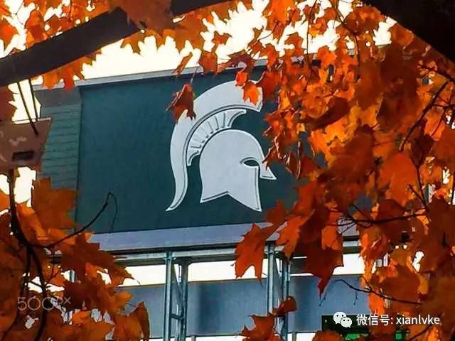 足球欧洲杯巡礼,莫斯科著名的足球场