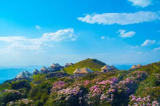 刚好遇见你,我的乌蒙