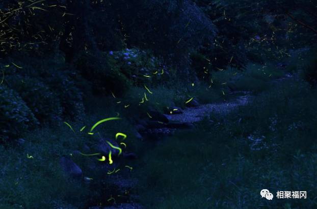 日本九州的人民夏天都去那里玩？只有一天也可以很放松的景点不信你们都去过