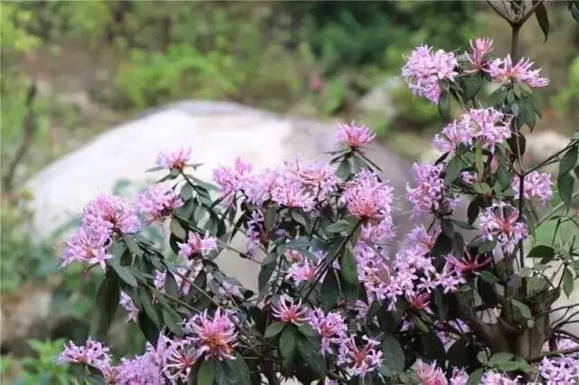 约惠旅游攻略,约惠旅游